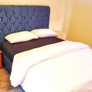  Accommodatie bij particulieren Deluxe Dwelling - 15 Mins From City/airport Ierland